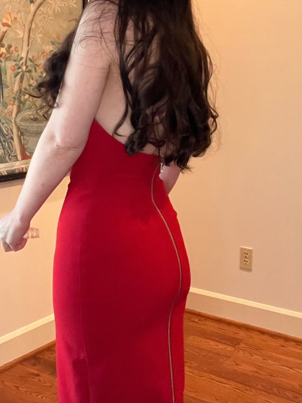 Alex Perry Red Dress - Picture 16 of 16
